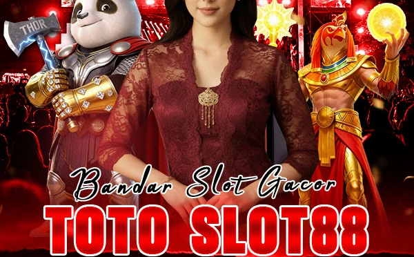 Narcos Slot Online Review & Guide